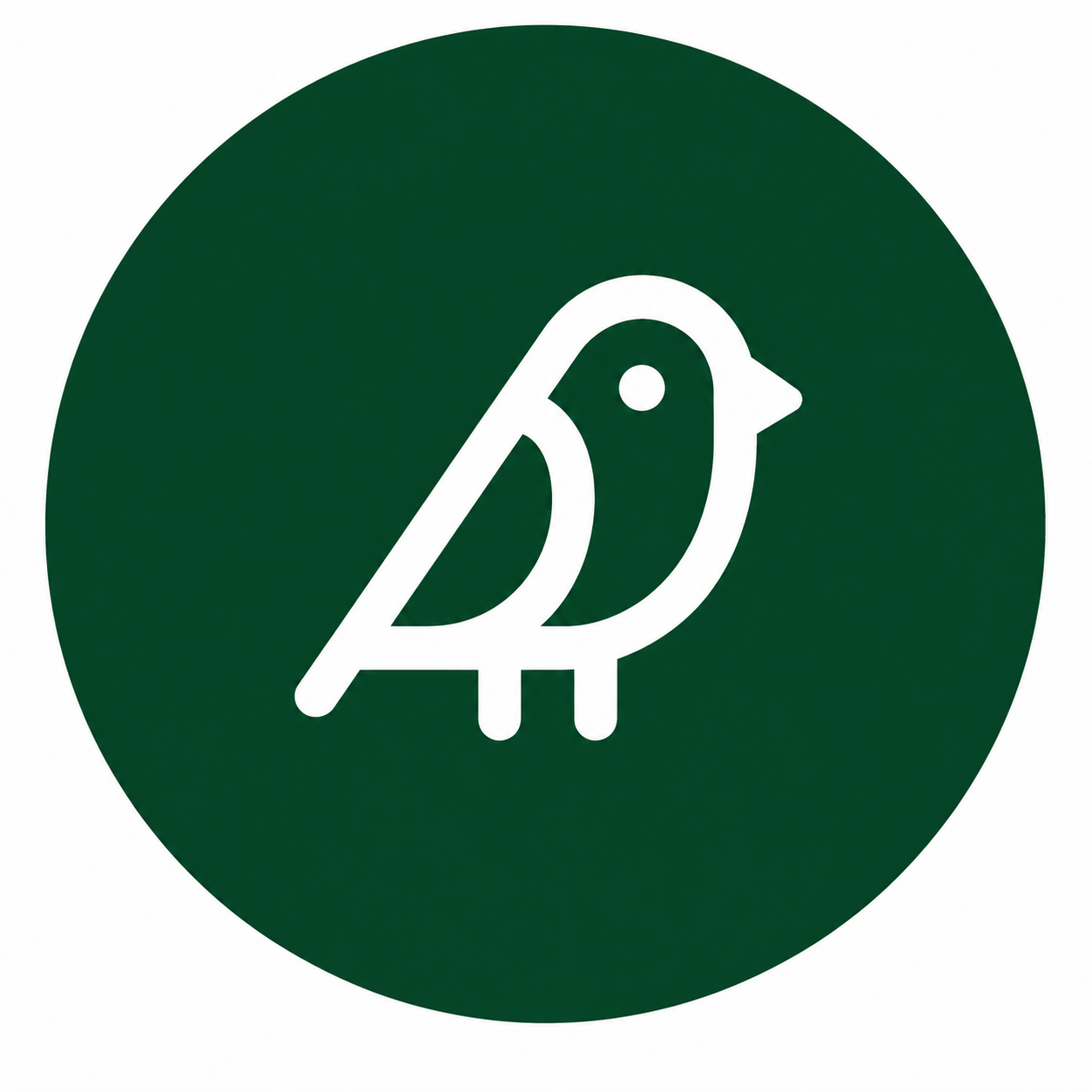 NestCam